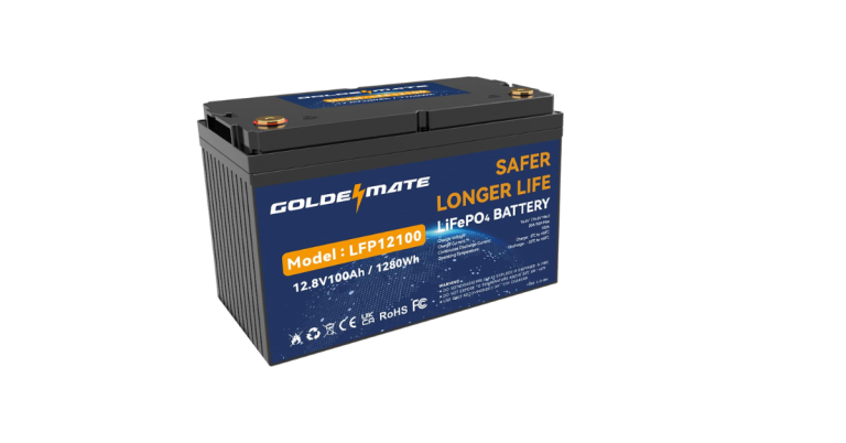Exploring the Excellence of 12.8V 100Ah 1280Wh LiFePO4 Batteries