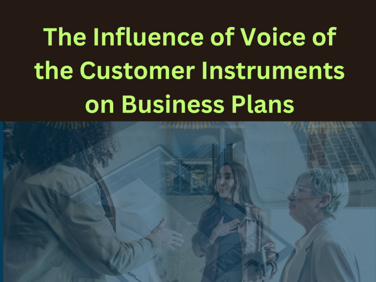 The Influence of Voice of the Customer Instruments on Business Plans