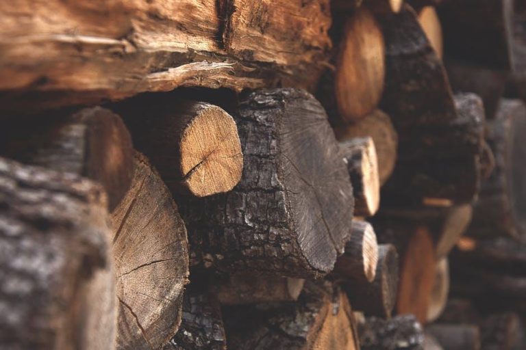 The Aesthetic Qualities of Cumaru Wood – Perfect for Interior Design