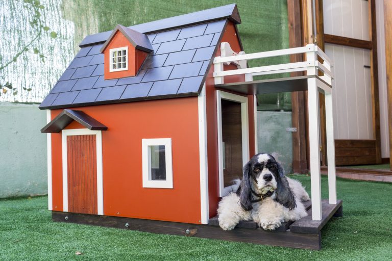 The Top Features to Look for in a Dog Playhouse for Your Furry Friend