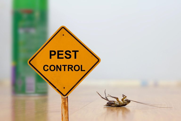 Surviving a Pest Control Emergency: Tips from the Experts