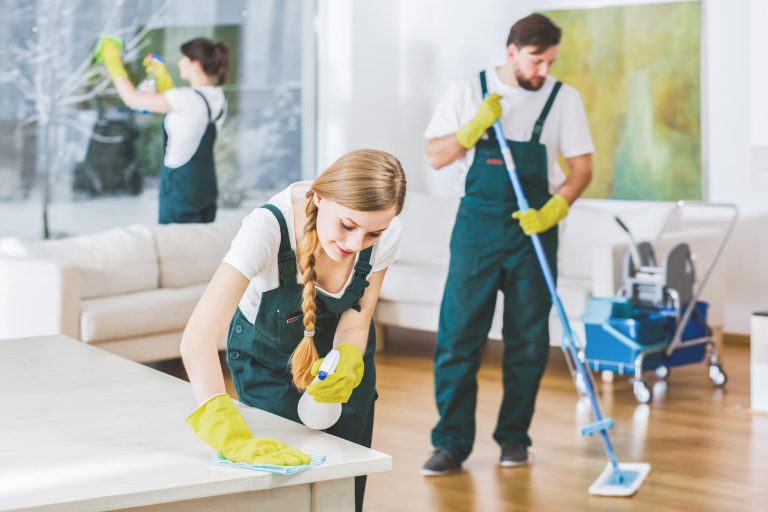 The Importance of Expert Cleaning for Maintaining a Clean & Safe Home