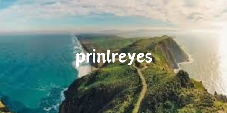 Unlocking Productivity: How Prinlreyes Transforms Workflows