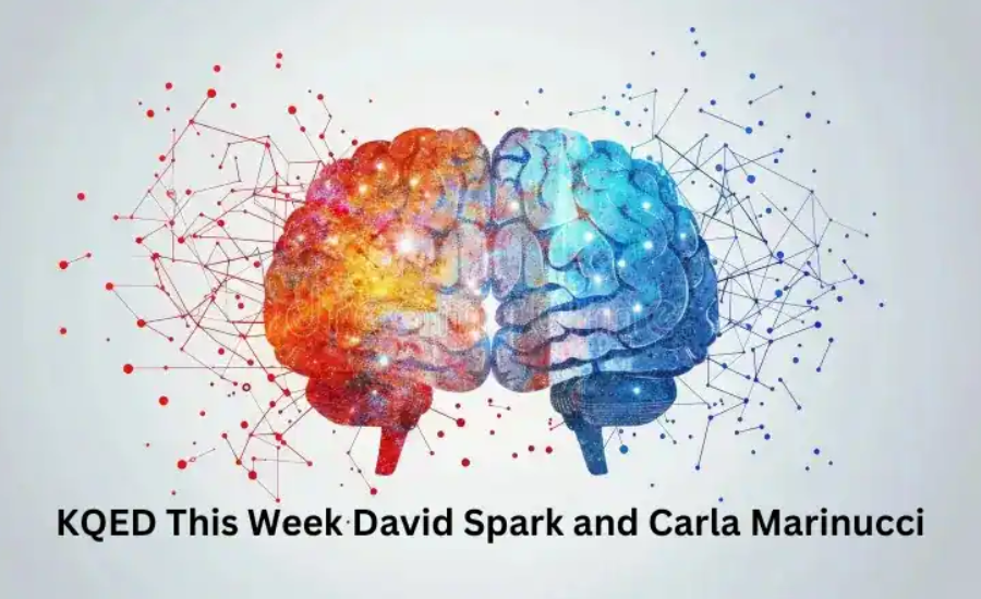 kqed this week david spark carla marinucci