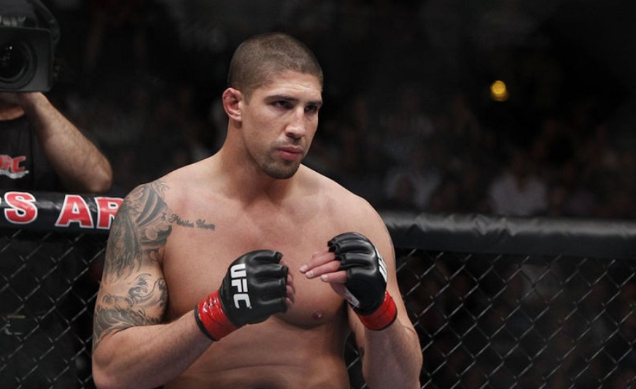 brendan schaub net worth