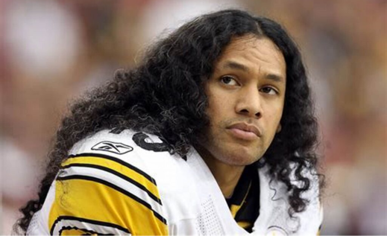 brandon polamalu