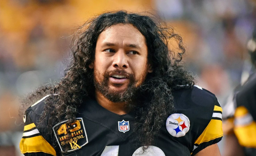 brandon polamalu