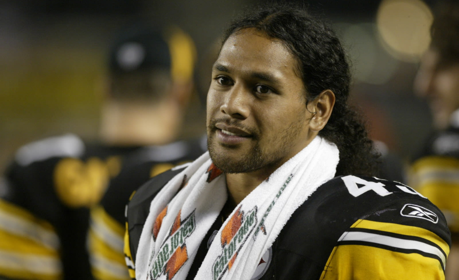 brandon polamalu