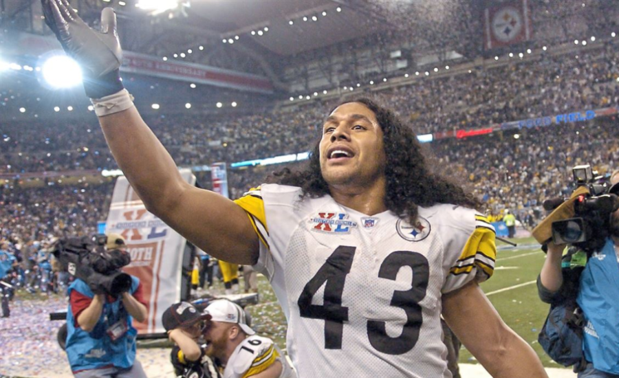 brandon polamalu