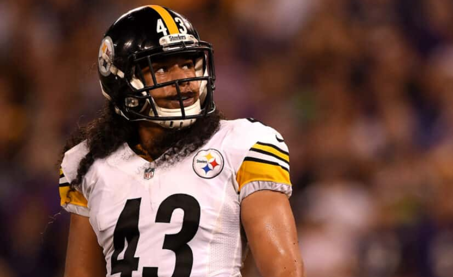 brandon polamalu