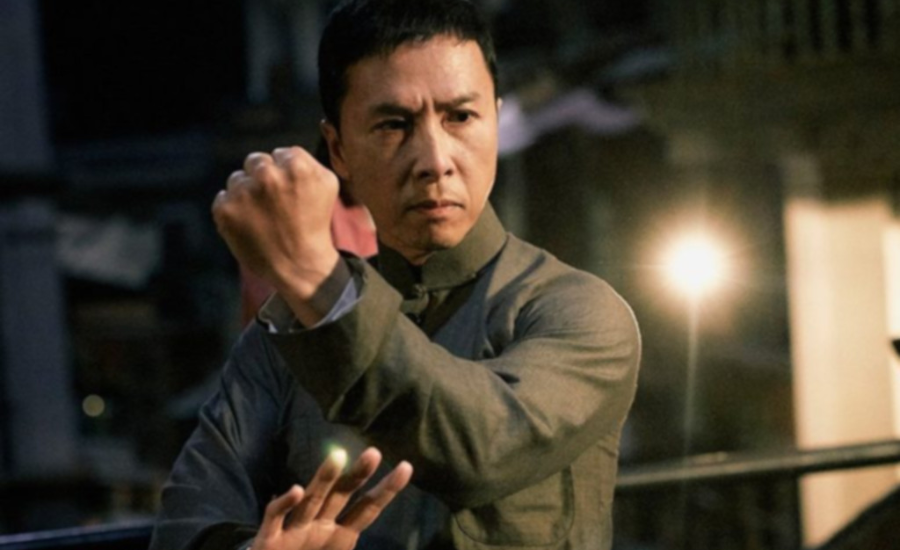 donnie yen net worth